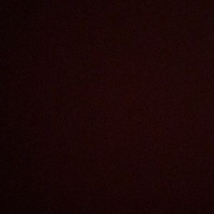 Meet your Posher, Isabella